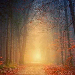 Energetische Meditationen (zum Download)